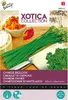 Buzzy Xotica Chinesischer Schnittlauch Samen - Ca. 3 gr | Produktbild-Vorschau 1