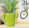 A cute cactus-shaped pen holder with a plant in it, placed on a shelf next to a teddy bear and a framed picture of a bicycle. Voir les images du produit