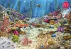 CHERRY PAZZI Puzzle Korallenriff-Paradies 2000 Teile Produktbild-Vorschau 8