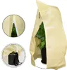 Pflanzenschutzhauben, Winterschutz Kübelpflanzensack Produktbild-Vorschau 2