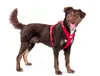 Curli Belka Harness Air-Mesh, Hund, Zugfreier Gurt, 4XL, Produktbild-Vorschau 2