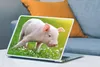 MuchoWow® Laptop Aufkleber Sticker Cover Tiere - Ferkel - Produktbild-Vorschau 4