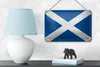Blechschild Flagge Schottland 18x12cm Flag Scotland Vintage Produktbild-Vorschau 4