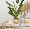 Set da 2 portavasi Relaxdays, larghezza regolabile, LxP: Anteprima dell’immagine prodotto 5