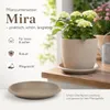 Pflanztopfuntersetzer Mira Taupe Ø 44cm - Frostsicher & Produktbild-Vorschau 7