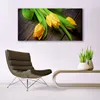 Glasbilder 140x70 Wandbild Druck auf Glas Tulpen Pflanzen Produktbild-Vorschau 3