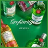 A collection of Tanqueray gin bottles arranged on a green surface, with text overlays. Produktbild-Vorschau