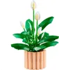 LEGO BOTANICALS 11504 Lys de la paix Voir les images du produit 33