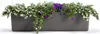 A long, rectangular planter box filled with green foliage and white and purple flowers, set against a white background. Náhled obrázku produktu