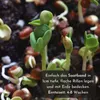 5m Saatband Radieschen Samen (Radies Riesenbutter Vitessa) Produktbild-Vorschau 3