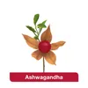 Vigologes Ashwagandha plus Kapseln 120 St Produktbild-Vorschau 15