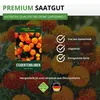 Studentenblumen Bonita Mischung Samen - Tagetes patula - Produktbild-Vorschau 8