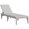 A gray plastic sun lounger on a white background. Podgląd zdjęcia produktu