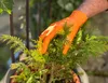 NIMEDA Gummihandschuhe Einweg M Orange 50 Stück Produktbild-Vorschau 4