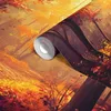 Selbstklebende Fototapete Ein sonniger Herbstwald in Produktbild-Vorschau 6