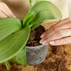 Orchideen-Substrat 3 l - Hochwertig - Nährstoffreich - Für Produktbild-Vorschau 5