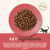 Applaws Cat Dry Adulte Poulet Et Canard 2Kg Voir les images du produit 7