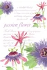 Willowbrook Fresh Scents -Duftsachet - Passion Flower Produktbild-Vorschau 2