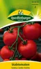 Quedlinburger Saatgut - Stabtomaten Tamina - Samen - 485802 Produktbild-Vorschau 3