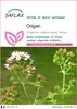 SAFLAX  - Origan - 600 graines - Origanum Voir les images du produit 1
