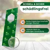 Legona Florfliegenlarven gegen Blattläuse und Thripse - 5 Produktbild-Vorschau 2