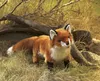 Folkmanis Handpuppe Fuchs 45 cm Produktbild-Vorschau 10