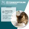 REAVET Relax Liquid für Katzen 50ml - Beruhigungstropfen I Produktbild-Vorschau 4