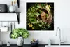 MuchoWow® Poster Ein Waldkauz in einem Baumstamm 50x50 cm - Produktbild-Vorschau 3