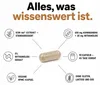 Ashwagandha KSM-66 Kapseln Hochdosiert – 600mg Produktbild-Vorschau 7