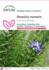 SAFLAX - Skutočný rozmarín - Rosmarinus officinalis - 100 Náhľad obrázku produktu 1