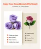 SucceBuy 50 rose stabilizzate in scatola rotonda, bouquet a Anteprima dell’immagine prodotto 4