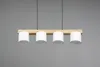 Trio - Hängelampe CAMERON -  - 0x0x150 cm Produktbild-Vorschau 12