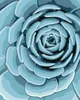 Botanisches Blau Ravensburger 23610 Produktbild-Vorschau 4