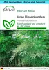SAFLAX Geschenk Set - Moso Riesenbambus - Phyllostachys Produktbild-Vorschau 1
