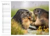Faszination Alpen (Wandkalender 2027 DIN A3 quer), CALVENDO Produktbild-Vorschau 12