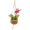 Kokodama Phalaenopsis (L) Náhled obrázku produktu 6
