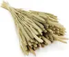 Getrocknetes Timothy-Gras - Natur Produktbild-Vorschau 1