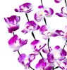 2x LED Solarleuchte, Orchidee, Erdspieß, Akku, H 75cm Produktbild-Vorschau 5