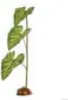 Exo Terra Dripper Plant mit Pumpe, Größe: Large Produktbild-Vorschau 2