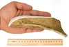 RF - DEER Damhirschgeweih XL 81-120g 18-21cm SOFT Produktbild-Vorschau 2