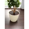 2er Set Blumentopfgitter Kunststoff Pflanzenschutzgitter Produktbild-Vorschau 3