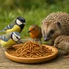 Futterbauer 10 kg Mehlwürmer Vogelfutter Hühnerfutter Produktbild-Vorschau 2