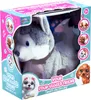 The image shows a toy dog in its retail packaging. The packaging is colorful and features images of other dog breeds. Produktbild-Vorschau