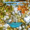 Solar Vogelbrunnen Hängend – mit Solarpanel, 5 m Kabel, 4 Produktbild-Vorschau 7