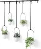 Five hanging planters with plants are displayed against a white background, attached to a black rod. Podgląd zdjęcia produktu