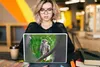 MuchoWow® Laptop Aufkleber Sticker Cover Eule auf Ast Produktbild-Vorschau 5