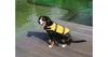 Dog Swimmer Hundeschwimmweste gelb, S Produktbild-Vorschau 2