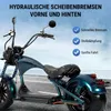 M1P E-Chopper Elektro-Kleinkraftrad 45 km/h, 2000W, 60V Produktbild-Vorschau 6