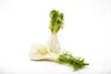 Foeniculum vulgare, Fenchel, aromatisch, ca. 9x9 cm Topf Produktbild-Vorschau 3