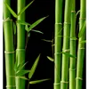YODEYMA Parfum Kara - Eau de Parfum für Damen 100 ml Produktbild-Vorschau 9